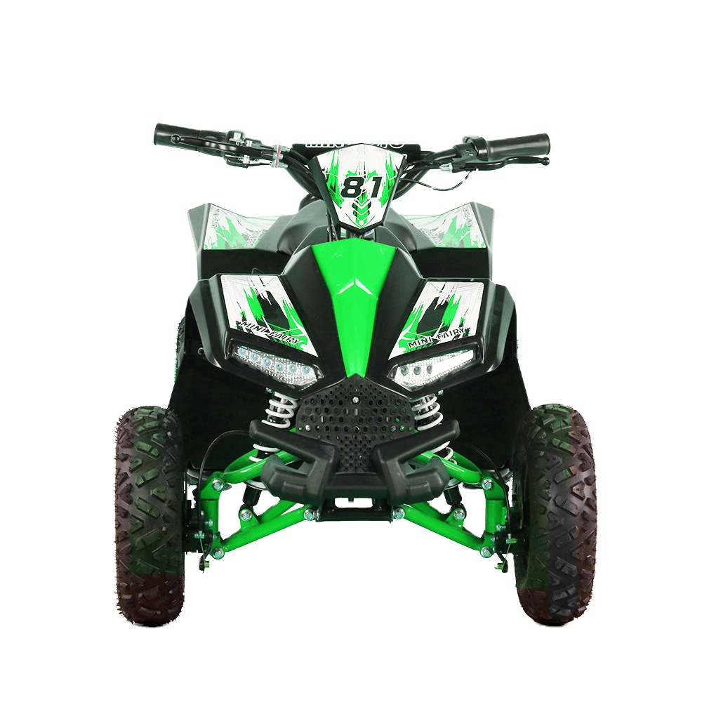 Kids Outdoor Quad Bike - Cuatrimoto Eléctrica para Niños, 1000W, 48V,
