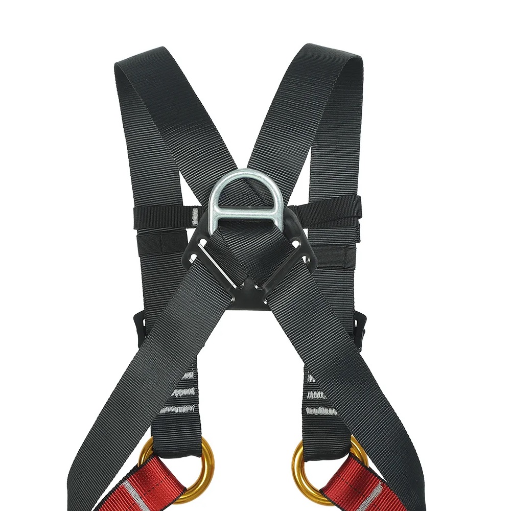 Arnés de cuerpo completo de ex - Kids Outdoor Climber reseña y precio