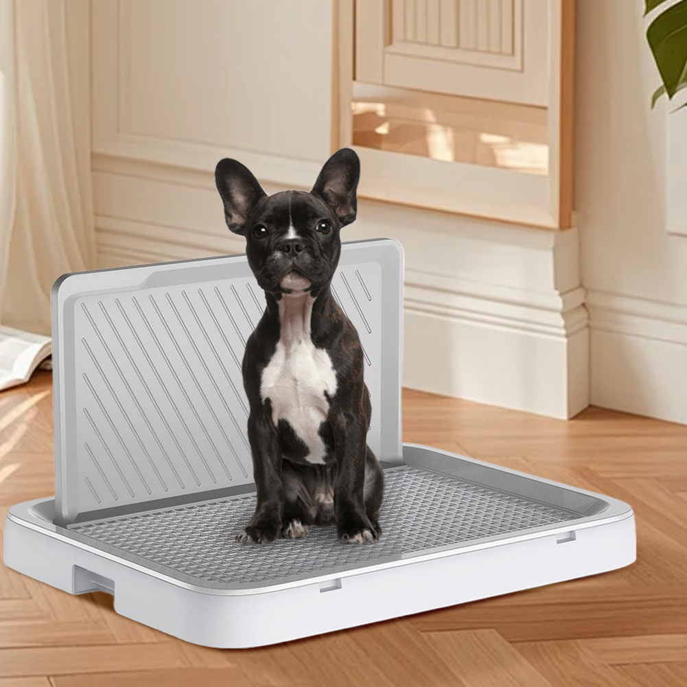 Bandeja Sanitaria para Perros  - Sprinkler Splash Pad reseña y precio