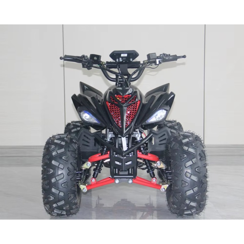 Cuatriciclo Eléctrico para Niñ - Kids Outdoor Quad Bike reseña y precio