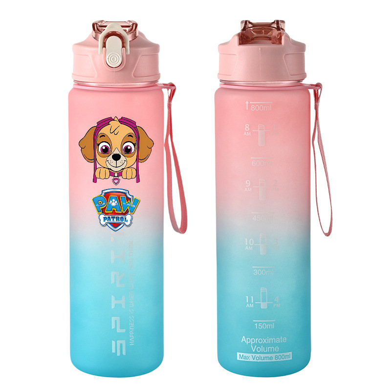 Botellas de agua deportivas PA - Kids Outdoor Gym reseña y precio