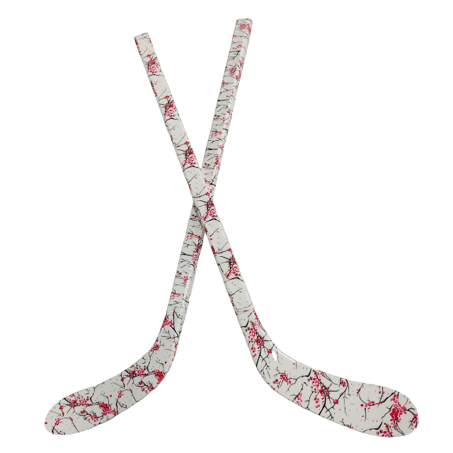 Juego de palos de Hockey sobre - Kids Outdoor Hockey Set reseña y precio